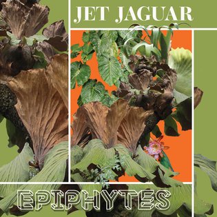 Epiphytes, by Jet Jaguar