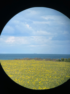 Maunsell Horizon