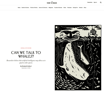 Can We Talk to Whales?