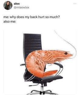 shrip-chair.png