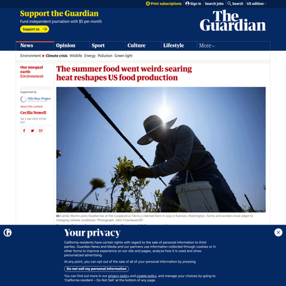 The summer food went weird: searing heat reshapes US food production | Environment | The Guardian