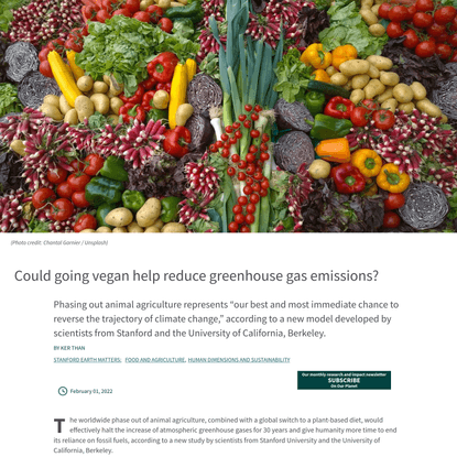 Could going vegan help reduce greenhouse gas emissions?
