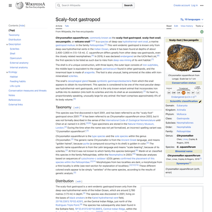 Scaly-foot gastropod - Wikipedia