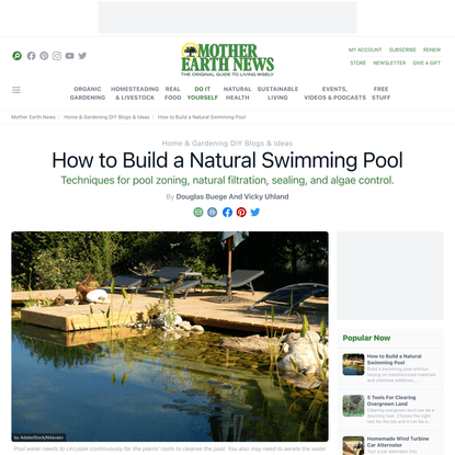 How to Build a Natural Swimming Pool – Mother Earth News