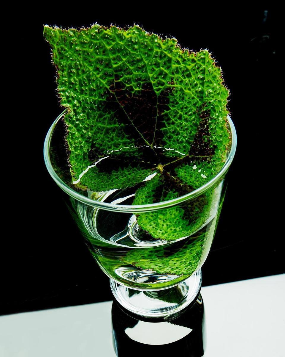 375879956_114237325112164_619570465775395919_n.jpg?stp=dst-jpg_e35-_nc_ht=instagram.fyvr3-1.fna.fbcdn.net-_nc_cat=104-_nc_oh...