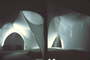 The 20th Century Environment, 1973. Kasuba Works