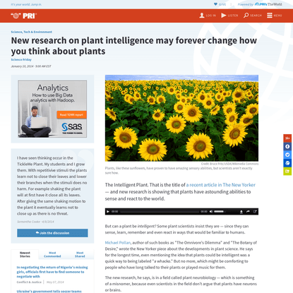 New research on plant intelligence may forever change how you think about plants