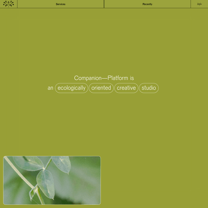 Companion—Platform