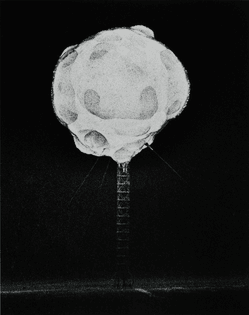 Harold A. Edgerton - Nuclear test captured with rapatronic camera, 1952