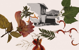 bessie_head_pressed_summer_flowers-1024x652.jpg