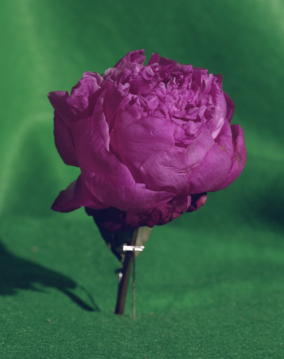 forever flowers — Are.na