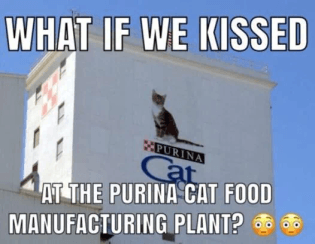 purina cat factory &lt;3