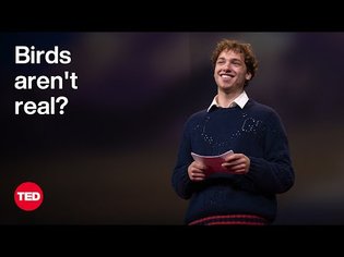 Birds Aren't Real? How a Conspiracy Takes Flight | Peter McIndoe | TED