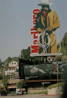 Sunset Boulevard 1994