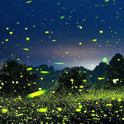 Pete Mauney on Instagram: ”#fireflies #opening #cheese #crackers #ihope #maybeidontknow #paintingsculpturephoto #groupshow #...