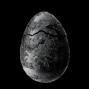 eggv2_lut_00000.png