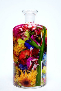bottle-flower-1-by-makoto-azuma.jpg