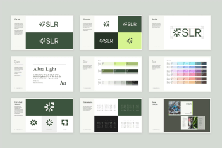 slr-forsurestudio-5-bc9e4.webp