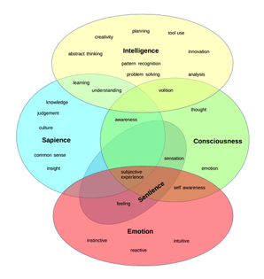 sentience-overlaps-with-small-portiom-of-emotion-consciousness-and-sapience.jpeg