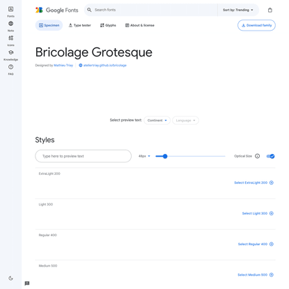 Bricolage Grotesque - Google Fonts