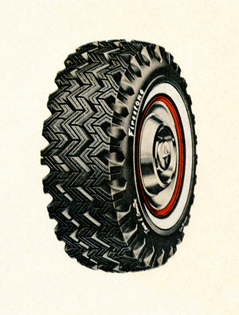 bartsol_50861969381_firestone.jpg