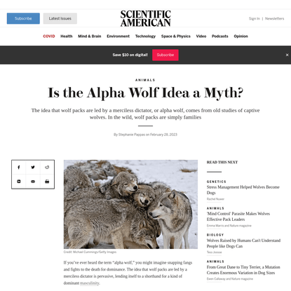 Is the Alpha Wolf Idea a Myth?