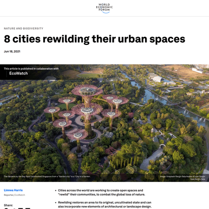 8 cities rewilding their urban spaces