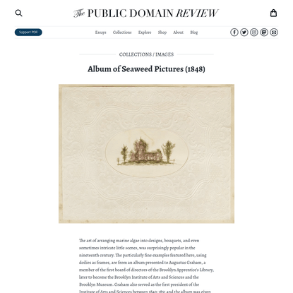 Album of Seaweed Pictures (1848)
