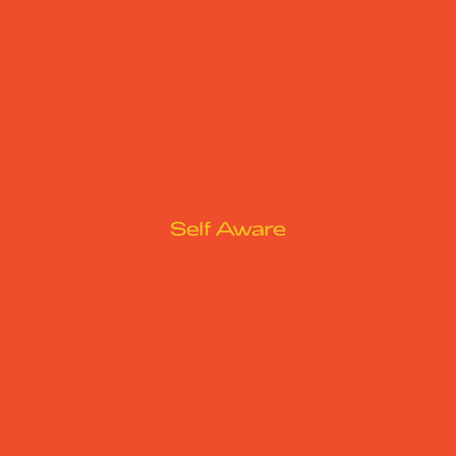 Self Aware | Design and Technology Studio
