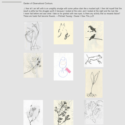 Garden of Observational Contours