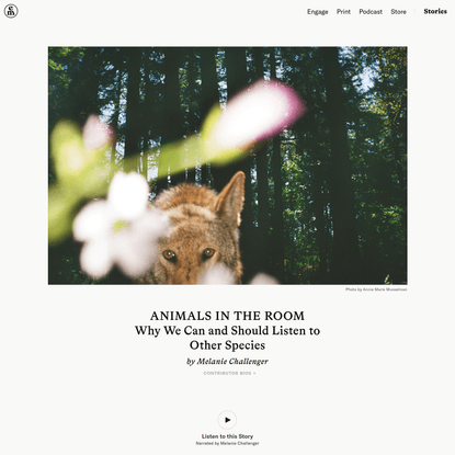 Animals in the Room – Melanie Challenger