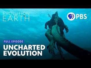 Earth is Changing (and Animals Are Adapting in Surprising Ways) 🌎 | Full Episode | Evolution Earth