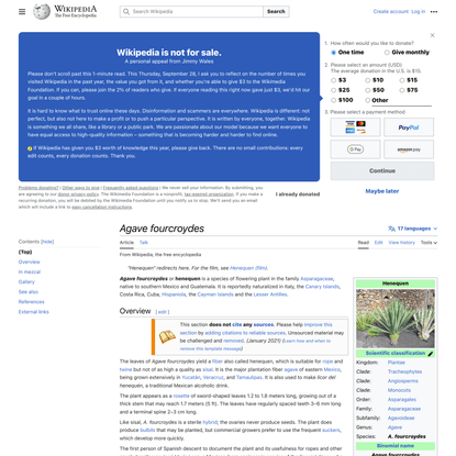 Agave fourcroydes - Wikipedia