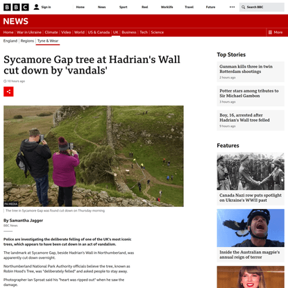 Sycamore Gap tree at Hadrian’s Wall cut down by ‘vandals’