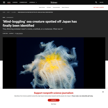 ‘Mind-boggling’ sea creature spotted off Japan has finally been identified | Science | AAAS