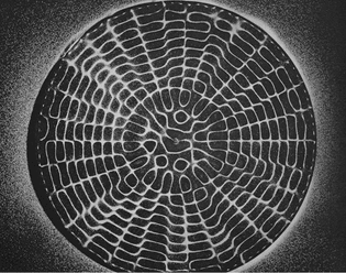 dop-cymatics-13.jpg