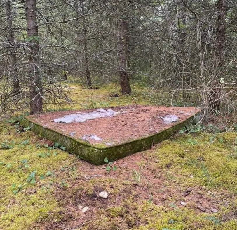 Abandoned Giant Mattress in Forest