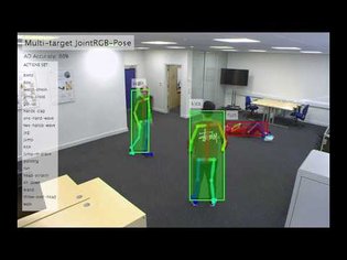 Pose-driven Human Action Recognition and Anomaly Detection