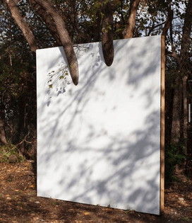 Letha Wilson, Wall in Cedar Elm Tree, 2021, gallery wall, tree