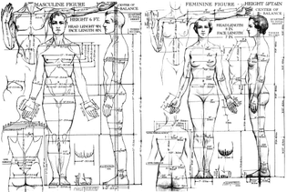 drawing_of_proportions_of_the_male_and_female_figure-_1936.jpg