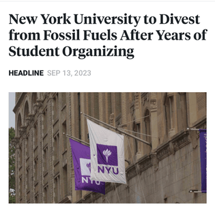 NYU divesting from FF