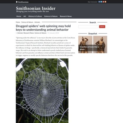 Smithsonian Insider – Drugged spiders’ web spinning may hold keys to understanding animal behavior | Smithsonian Insider
