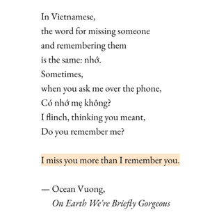 ocean vuong, from on earth we're briefly gorgeous