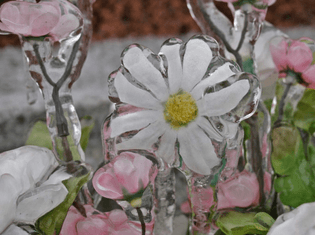 cemetery flowers after an ice storm by Peter Fricke