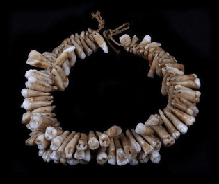Fijian human tooth necklace