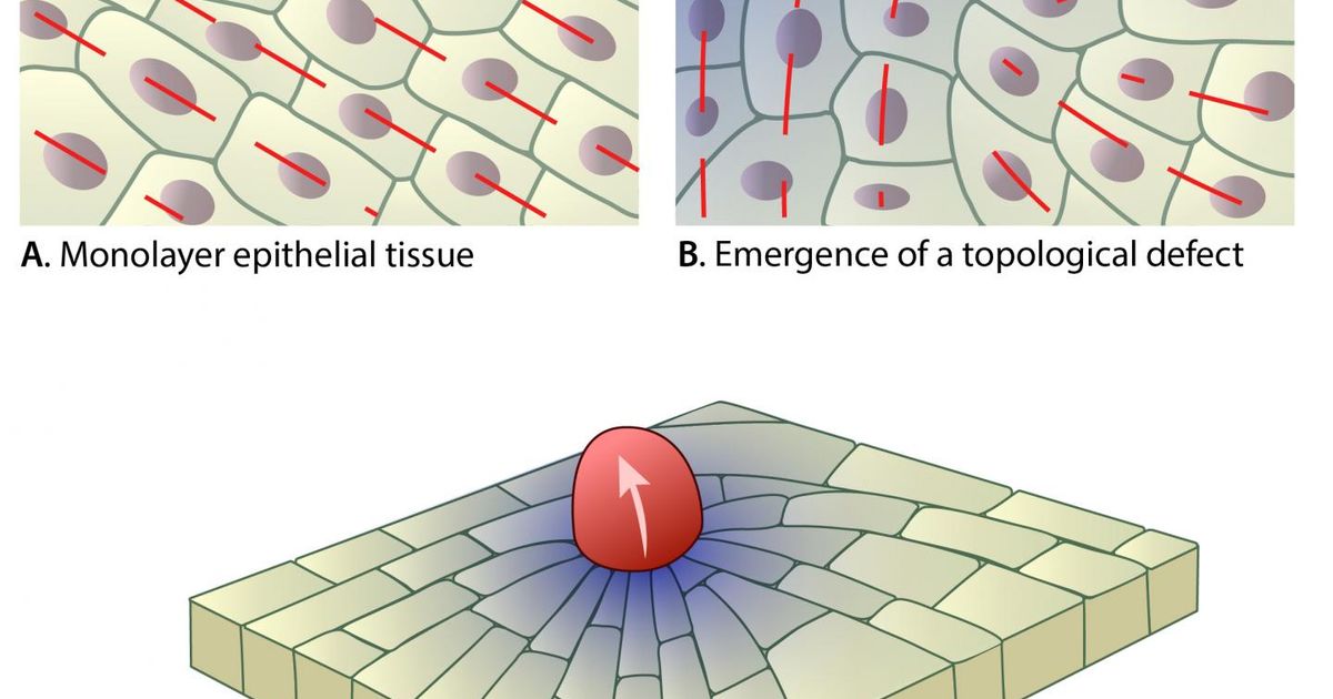 topological defect | Are.na