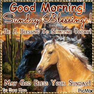 good-morning-frame-at-0m0s.jpg