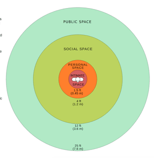 Personal spaces in proxemics