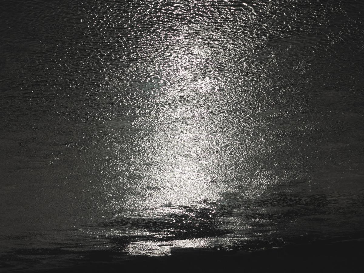 L'Ebre (Mora La Nova), 2022