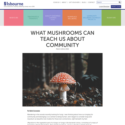 What Mushrooms Can Teach Us About Community